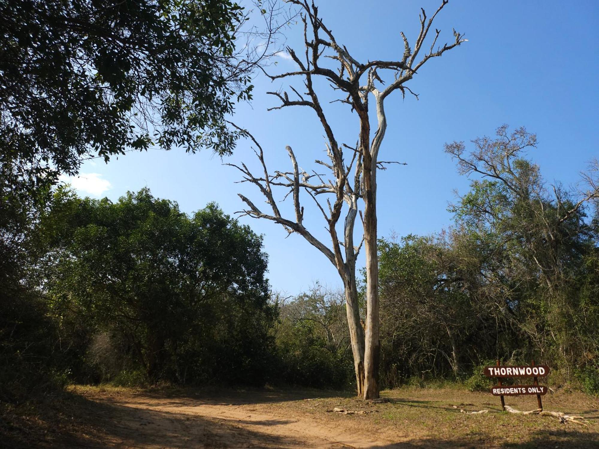 Thornwood Villa Hluhluwe Exterior foto